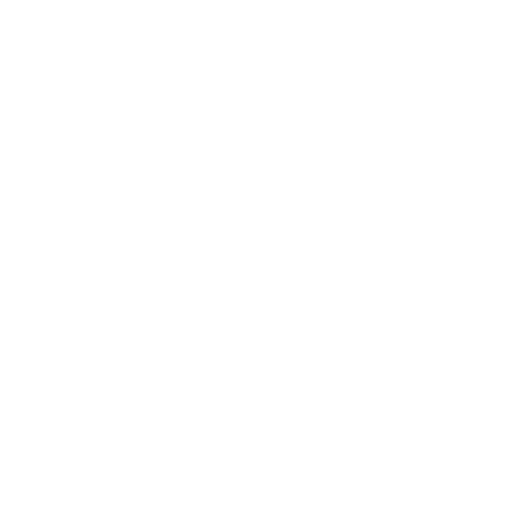 TokBot